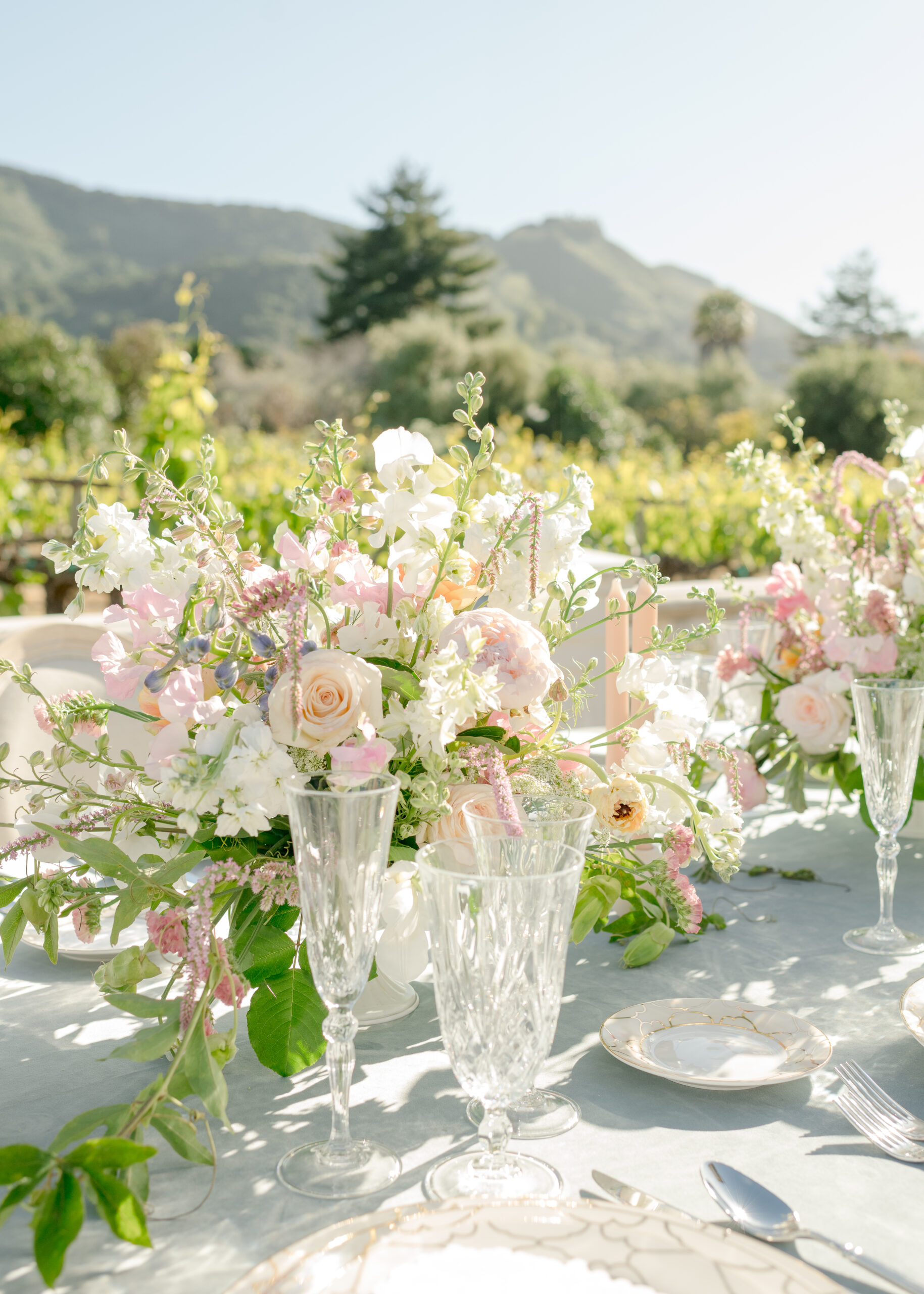Folktale Winery Wedding