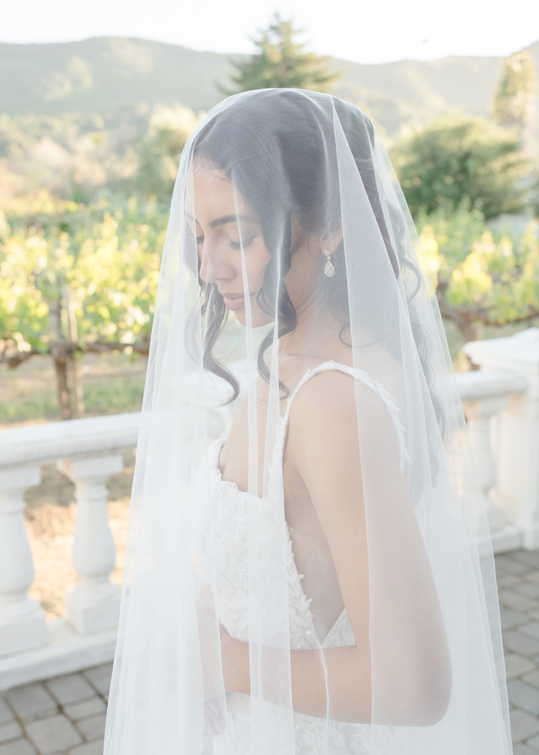 bride under veil