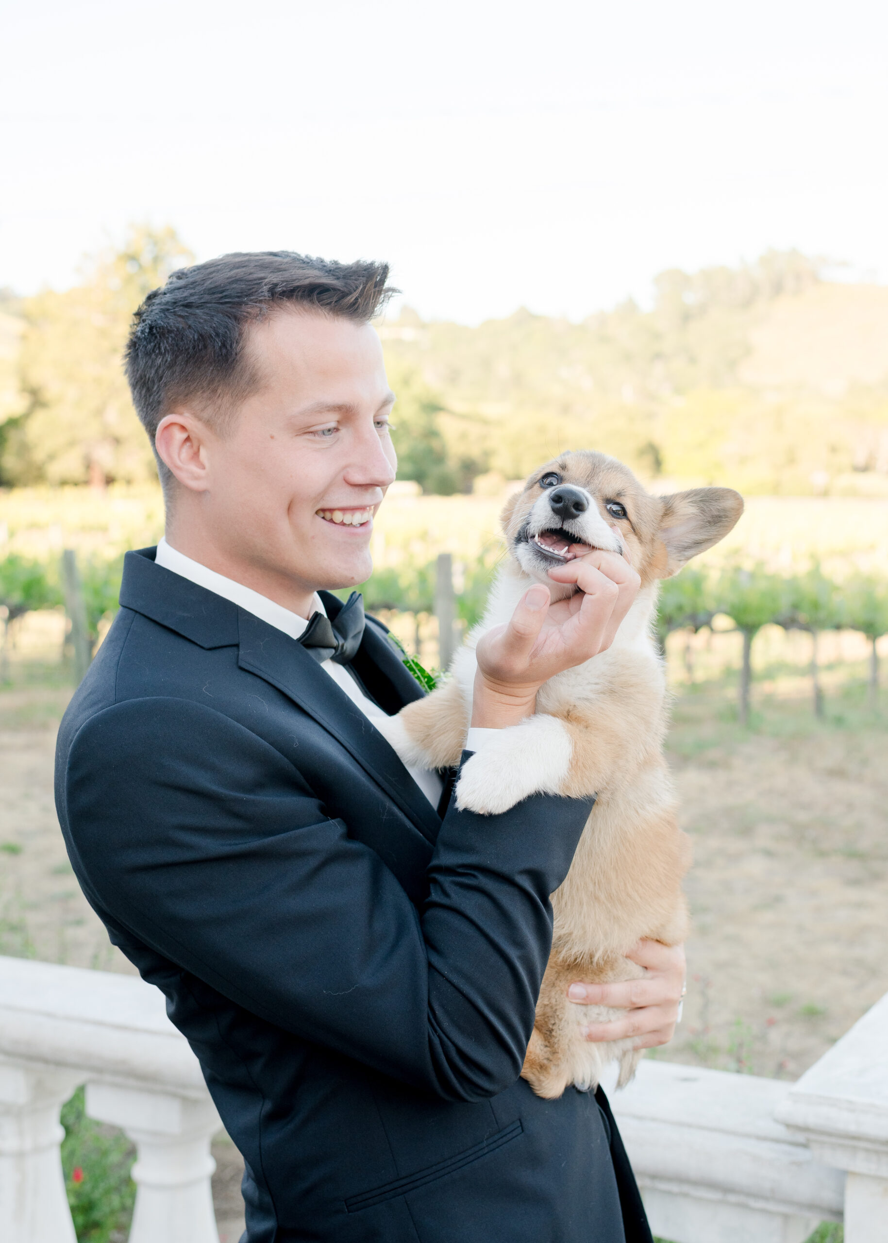 groom holding corgi puppy